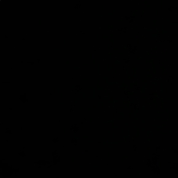 Meet your Posher, Allison - Picture 1 of 1